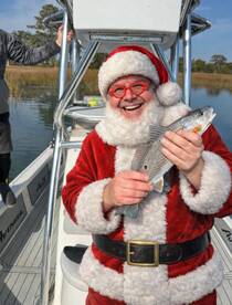 The PERFECT trips!!!!