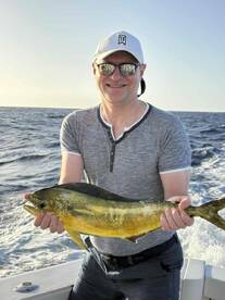 excellent experience with the Koko crew