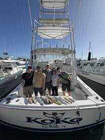 excellent experience with the Koko crew