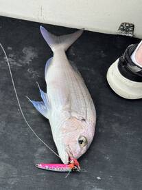 We (non fishers) had an amazing time and cought fish! 