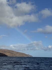 We (non fishers) had an amazing time and cought fish! 