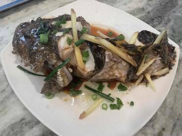 Nice Christmas Eve Fishing