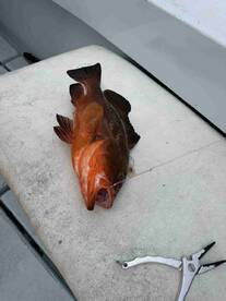 Definitely A Captain's Challenge!