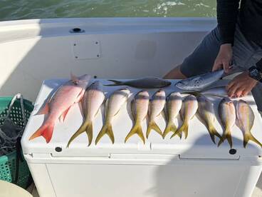 Fishing on Christmas eve