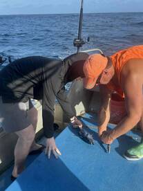 Captain Matt is a must!!