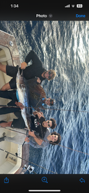 sailfish
