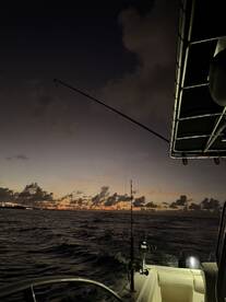 Great Christmas Catch