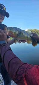 Rene was a  great captain