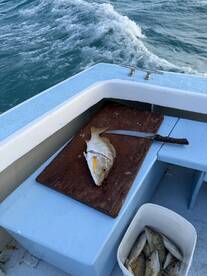 Half Day Reef Fishing 