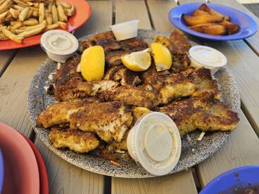 Great Trip With Captain Ryan!