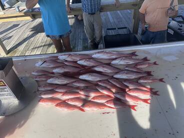 These guys were great!