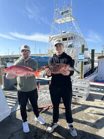 Awesome Christmas Trip!