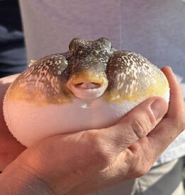 Great time for family fun