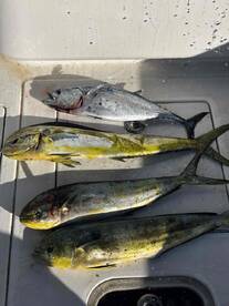 Unforgettable Experience