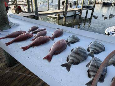 Excellent fishing charter! 