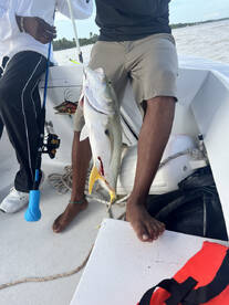 Captain Luis was Great