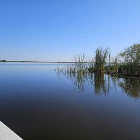 Captain Paul Was Great