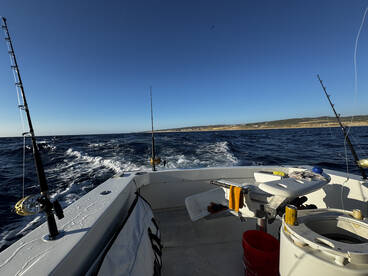 Fantastic afternoon trip on Wahoo