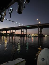 Great captain... super stable boat!