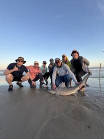 Perfect Shark Fishing Guide