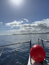 Super f\u00fcr den Preis