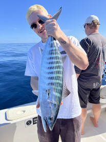 Super f\u00fcr den Preis