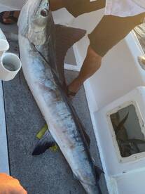 Fish On !!!  Gavionta Loca didnt Disappoint 