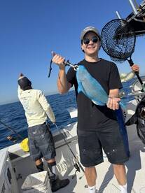 AAA plus experience.  Plan your trip now 