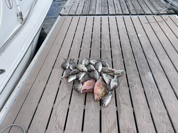 Captain Greg and First Mate Aiden....  Awesome