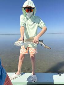 Incredibly knowledgeable captain