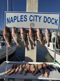 Captain Mike was great!