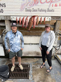 12\/27 Decemebr 5hr trip