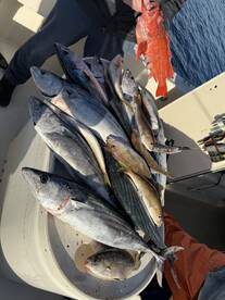 Brothers Sport Fishing was awesome. 