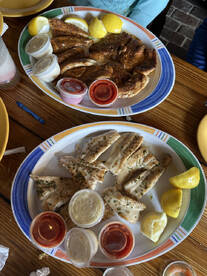 Great 4 Hour Trip on tbe Reef