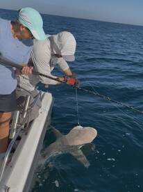 100 percent do this!!!!!