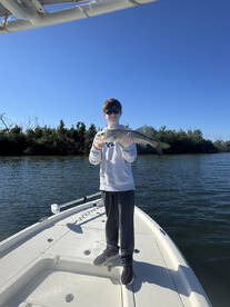 Multi species bonanza 