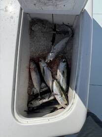 Don\u2019t waste your time looking through boats, this is the one