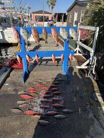 December fishing trip