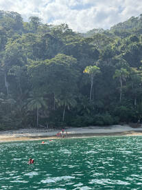 Smooth sailing and fish in the bucket!  