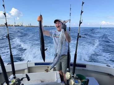 A fantastic experience - i would book them again