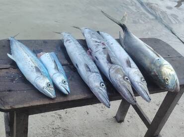 December fishing trip