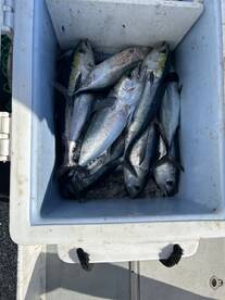 Great Crew - Great Trip!!!