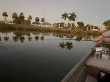 An angler casting a line into calm waters during twilight, surrounded by palm trees and urban scenery.