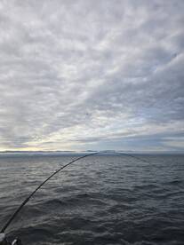 The perfect day on the water!   