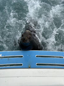 Incredible Experience!