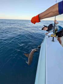 4 hour afternoon trip! 