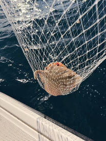 Fishing with Oleksandr