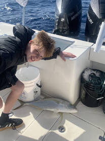 Captain Will is Excellent