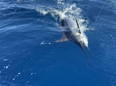 An Unforgettable Day on the Water