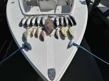 What an amazing day! 